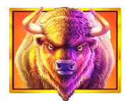 Buffalo Symbol